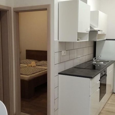 Appartma Katja Gabrovica pri Črnem Kalu 外观 照片